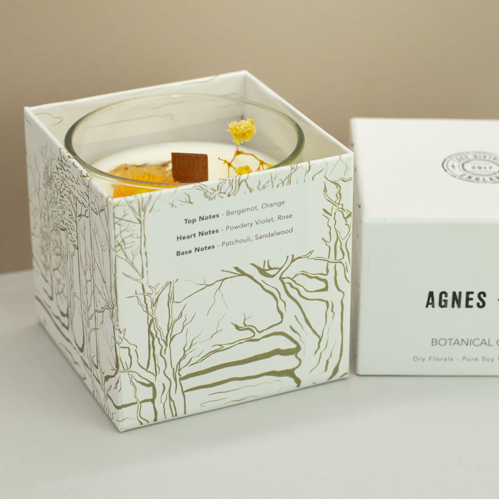 A candle in a decorative box with a botanical design, featuring the brand &