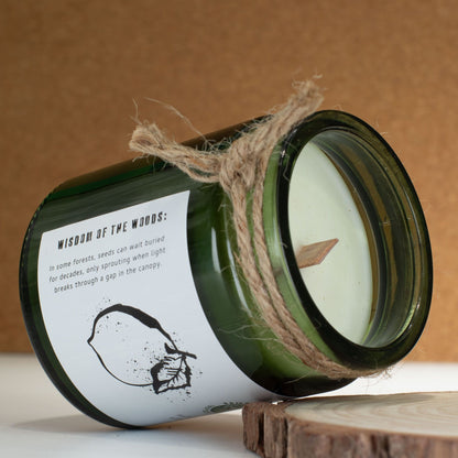 Green candle in a glass jar with a label and twine, on a wooden surface with a brown background.
